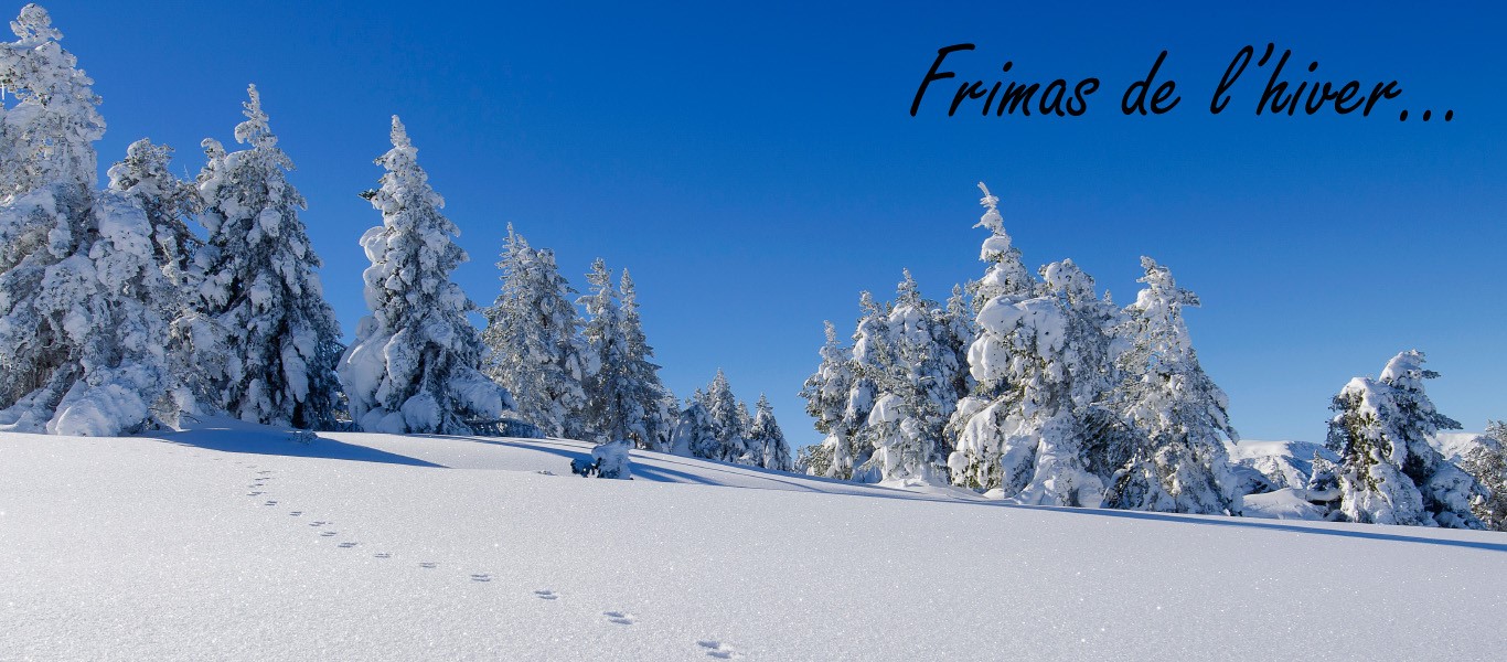 Frimas de l'hiver GREGORY ODEMER