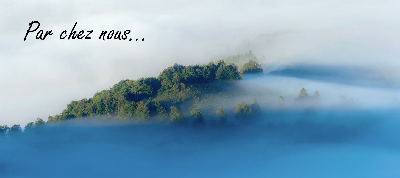 PAr chez nous Grégory Odemer